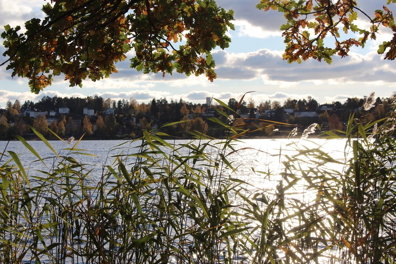 Föreningens område vid Murkelvägen