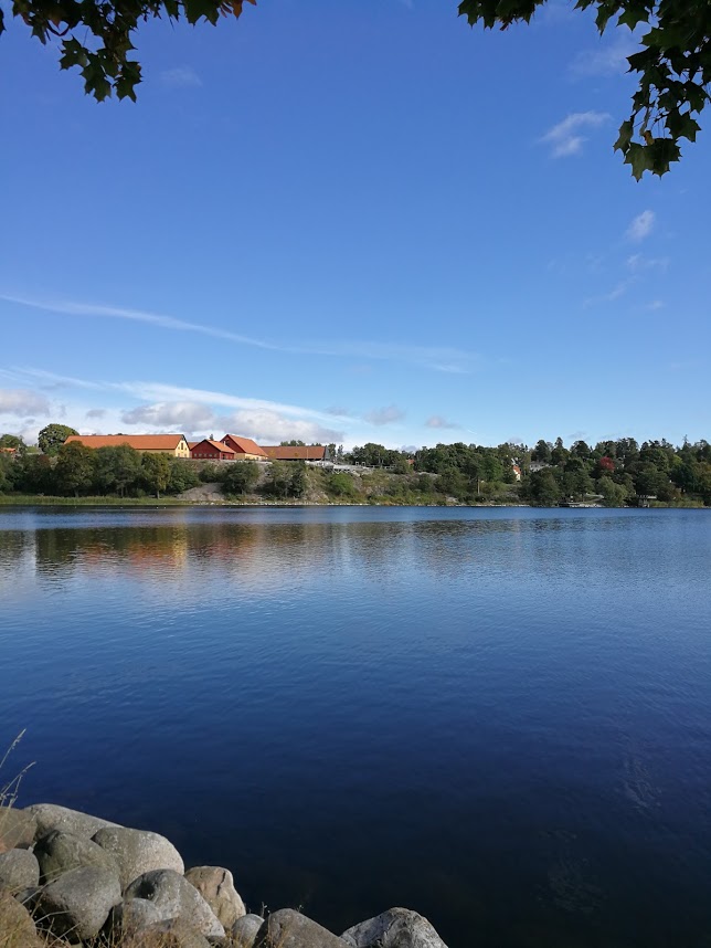 Föreningens område vid Murkelvägen
